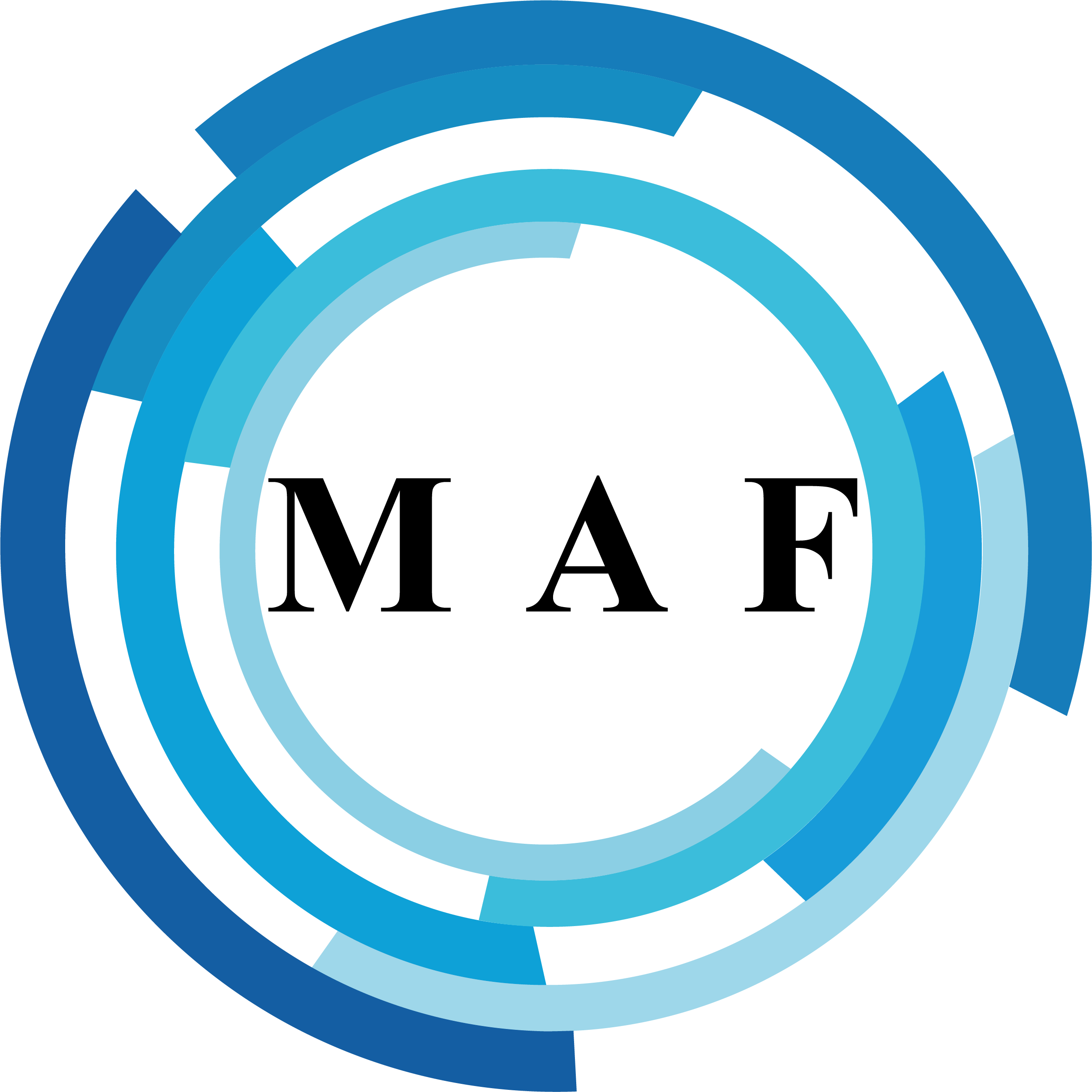 maf-logo-20241118175730.png